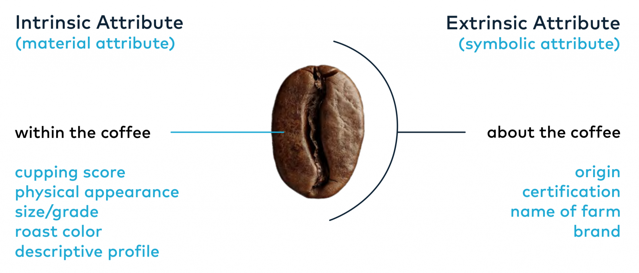 Coffee Attributes Java The Evolution and Definition of Specialty Coffee – Coffee Academy
